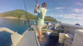 Mackay Cockermouth IslandShallow water reef fishing [upl. by Aklim]