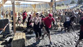 Tough Mudder Temecula Electric Shock Therapy [upl. by Yvi]