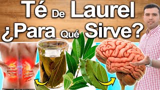 Té De Hoja De Laurel  Para Qué Sirve  Beneficios Para Tu Salud Y Belleza [upl. by Rubia972]