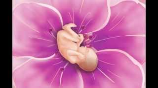 Prenatal Meditation  Part 7 Active Thought Stages of Pregnancy Visualizations [upl. by Youngman]