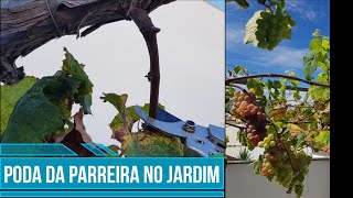 Quando e como podar a parreira de uva de Jardim [upl. by Assillim492]