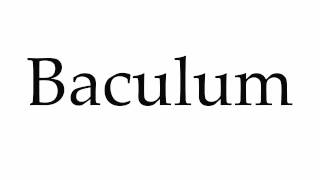 How to Pronounce Baculum [upl. by Cynthy]