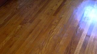 Refinishing hard wood flooring with Zar stain and water based polyurethane [upl. by Maletta]