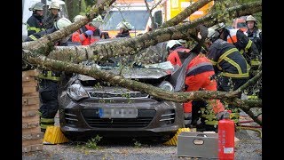 Sturm und Unwetter fordern Todesopfer „Xavier“ fegt über Hamburg hinweg [upl. by Gut562]