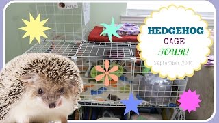 CampC Hedgehog Cage Tour [upl. by Janette909]