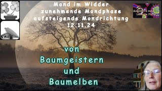 Mond Geflüster von Baumgeistern und Baumelben [upl. by Sonia]