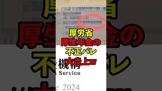 【衝撃】厚労省、厚生年金のイカサマがバレて大炎上w 政治 ニュース 厚労省 [upl. by Noellyn]