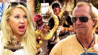 Schlangen und HotChiliSaucen 🐍🔥 ScooterTour durch Key West 🛵  Die Geissens GEISSCLASSICS 47 [upl. by Roseline219]