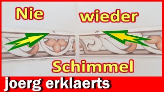 Fugen Bad von Schimmel befreien  entfernen Reinigung Schimmelbeseitigung DIY Tutorial No 365 [upl. by Nosemaj]