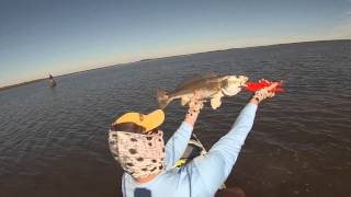 Galveston Bay Kayak Fishing Sight Casting Reds in January [upl. by Alegnat]