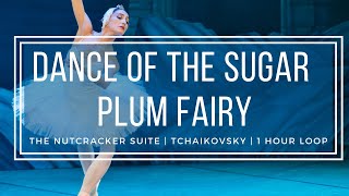 Dance of the Sugar Plum Fairy  Tchaikovsky Nutcracker  1 Hour Version [upl. by Irmgard]