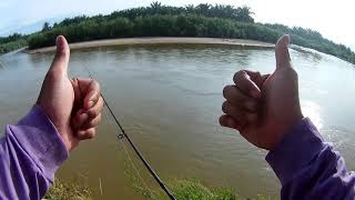 Ep253rod amp reel testjuncture 180 exbert YL300 [upl. by Bred]