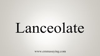 How To Say Lanceolate [upl. by Llerrod]