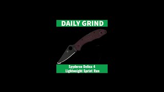 Spyderco Delica 4 Lightweight Sprint Run [upl. by Mylan648]