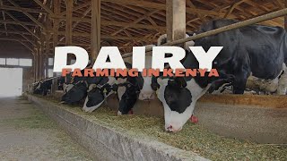 DAIRY FARMING IN KENYA MANAGING A SMALL DAIRY FARMAFRICAN VILLAGE LIFE [upl. by Suciram]