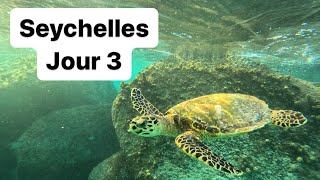 Seychelles Day 3 Praslin Island Anse Lazio snorkeling with turtles 21102023 [upl. by Namyaw944]