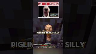 Im Beefing with the Piglins minecraft [upl. by Bardo]