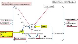 Anticoagulación y antiagregación  UNR FCM [upl. by Lurleen]