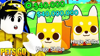 Pets Go  2 Pcs HUGE SHIBA DOG Worth 40000 Robux Sobrang Mahal Nito [upl. by Abbe]