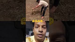 Janwar ka kitna bada help snake animals news fishing [upl. by Mastrianni997]