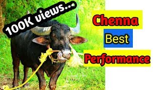 Kambala  CHENNA best performance [upl. by Conlan]