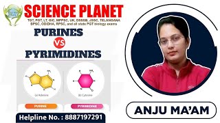 Purines Vs Pyrimidines I Adenine I Guanine I Thymine I Cytosine I [upl. by Oxley]