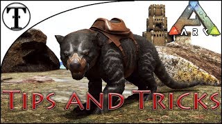 Fast Thylacoleo Taming Guide  ARK  Survival Evolved Tips and Tricks [upl. by Marcus737]