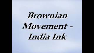 Brownian Motion in India Ink [upl. by Ayoj]