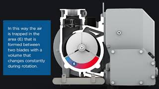 How does a rotary vane vacuum pump work [upl. by Eirrot67]