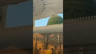 Jise Adam Se Pehle Tha Banaya Beautiful Naat YouTube  Islamic  Shorts  Video [upl. by Mosier]