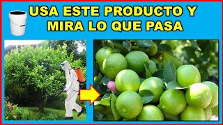 Prueba este biofertilizante y cosecharás muchos más frutos Discovery Mundo [upl. by Mathias599]