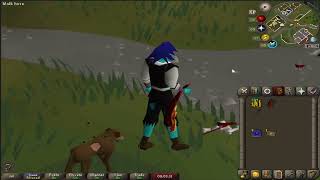 OSRS  Bulwark amp Blowpipe Kit Including new blowpipe special [upl. by Dumm]