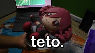 i unboxed a teto plush [upl. by Aninat]