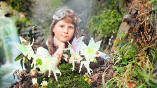 Cottingley Fairies A Historical Photo Gallery COLOURISED [upl. by Pylle]