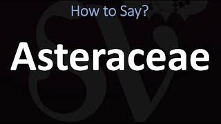 How to Pronounce Asteraceae CORRECTLY [upl. by Noll]