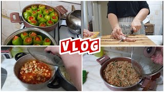 MUTFAKTA NELER YAPTIMâ“ï¸GÃœNÃœN MENÃœSÃœğŸ‘©â€ğŸ³ZEYTÄ°NYAGLI BÄ°BER DOLMASIğŸ‘©â€ğŸ³GÃœNLÃœK VLOG PART2 [upl. by Dominic]