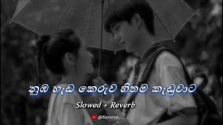 Nohithunata  නොහිතුනාට  Slowed  Reverb [upl. by Anaujnas]