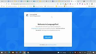 Google Slides  Using LanguageTool [upl. by Eeima]