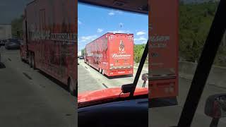 Budweiser Clydesdales on the Move That Would Be a Cool Job budweiser america trucker countrylife [upl. by Atirat720]