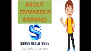 ABOUT OVIPAROUS ANIMALS [upl. by Leahicm]