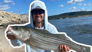 Striped Bass Fishing  A Rig  Eufaula Lake Dam [upl. by Ayidah]