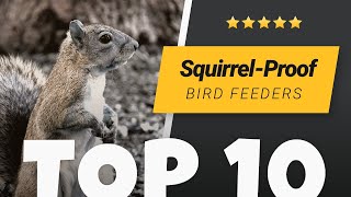 Squirrel meets squirrelproof bird feeder [upl. by Vinn]