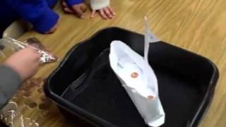 Paper Boats Science Experiment [upl. by Gnod]