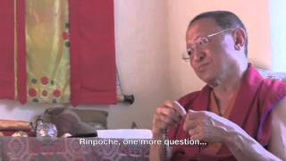 The most Important thing by Chokyi Nyima Rinpoche [upl. by Dzoba]