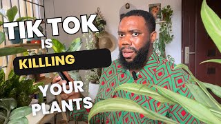 Terrible Advice that is actually Killing your Plants [upl. by Neila]