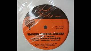 Harlem Underground Band Smokin Sheeba Sheeba Vinyl 1976 [upl. by Iblehs]