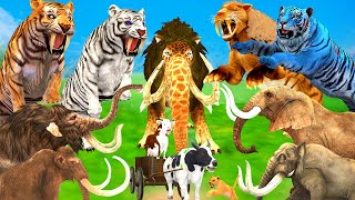 10 Mammoth Elephant Cow vs 3 Elephant Buffalo vs 10 Giant Tiger Attack Cow Lion Cub Saved By Mammoth [upl. by Morlee]