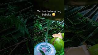 Marites habang nag bubuko buhaypromdi buhayprobinsya simplengbuhay maritespamore [upl. by Reprah916]