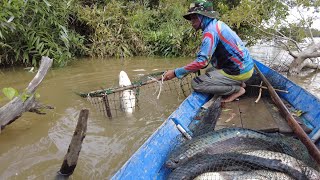 JEBAKAN IKAN BESAR KAMI SAMPAI BERGOYANG TERNYATA IKAN INI ISINYA [upl. by Woodson]