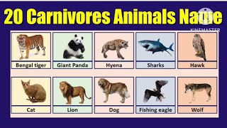 Carnivores Animal20 Carnivores Animals NameCarnivores Animals Name in Englishcarnivoresanimal [upl. by Etteloiv]